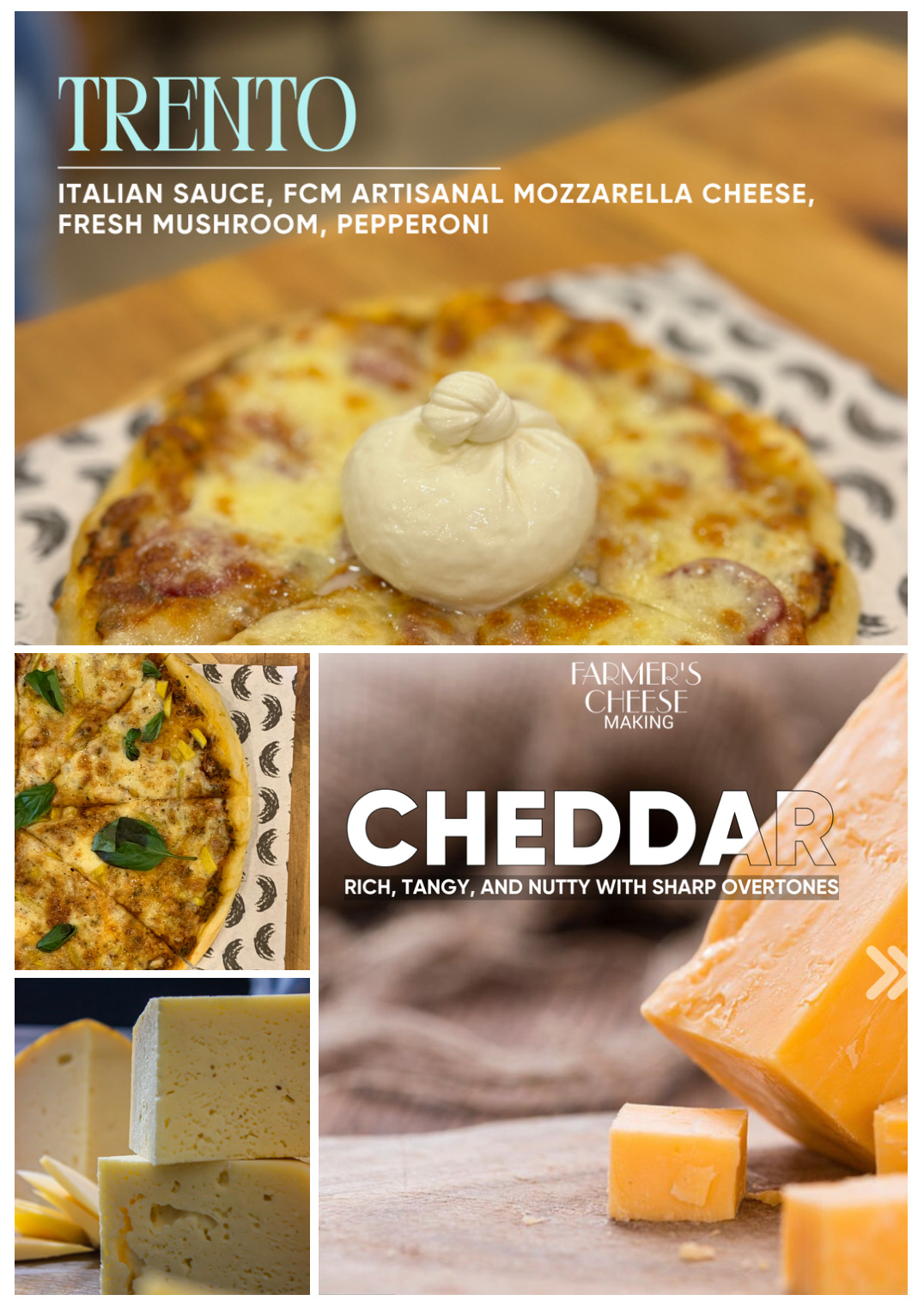Gourmet Mozzarella Food Photography